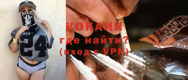 дживик Горняк