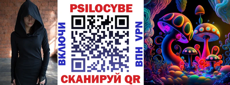где купить наркоту  Шлиссельбург  Галлюциногенные грибы MAGIC MUSHROOMS 